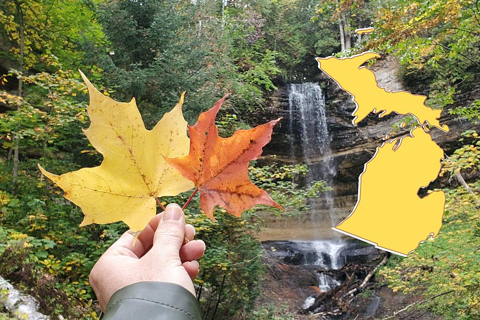 Michigan Named One of the Top Fall Destinations in America