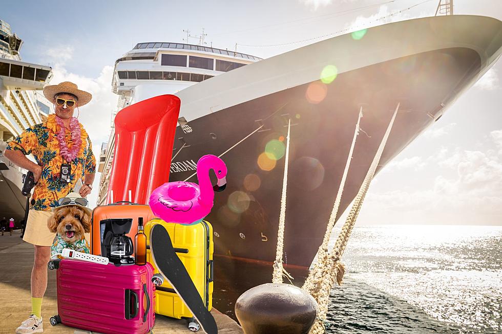 Michigan Cruisers Beware: 19 Banned Items on Cruise Ships