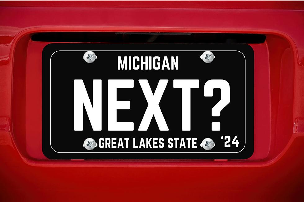 Should Michigan Get 'Blackout' License Plates?