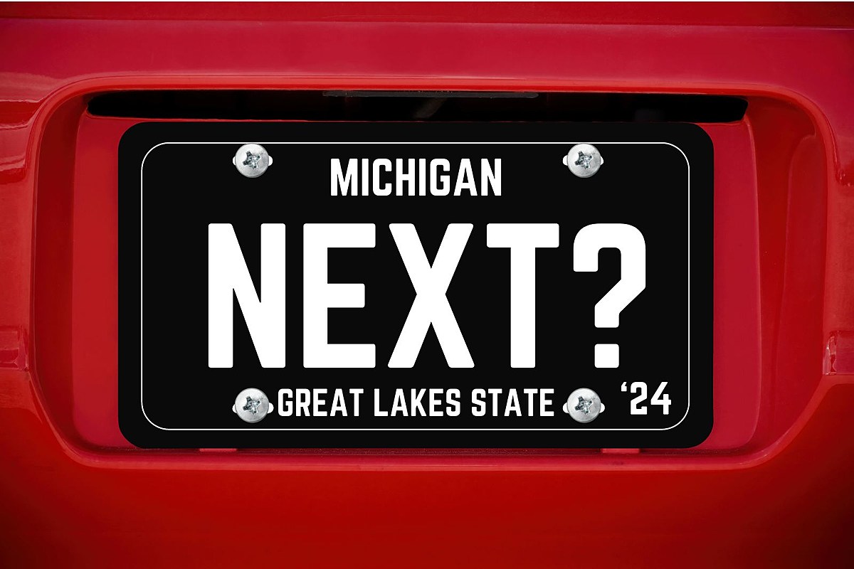 Viral license plate deemed inappropriate recalled by state DMV