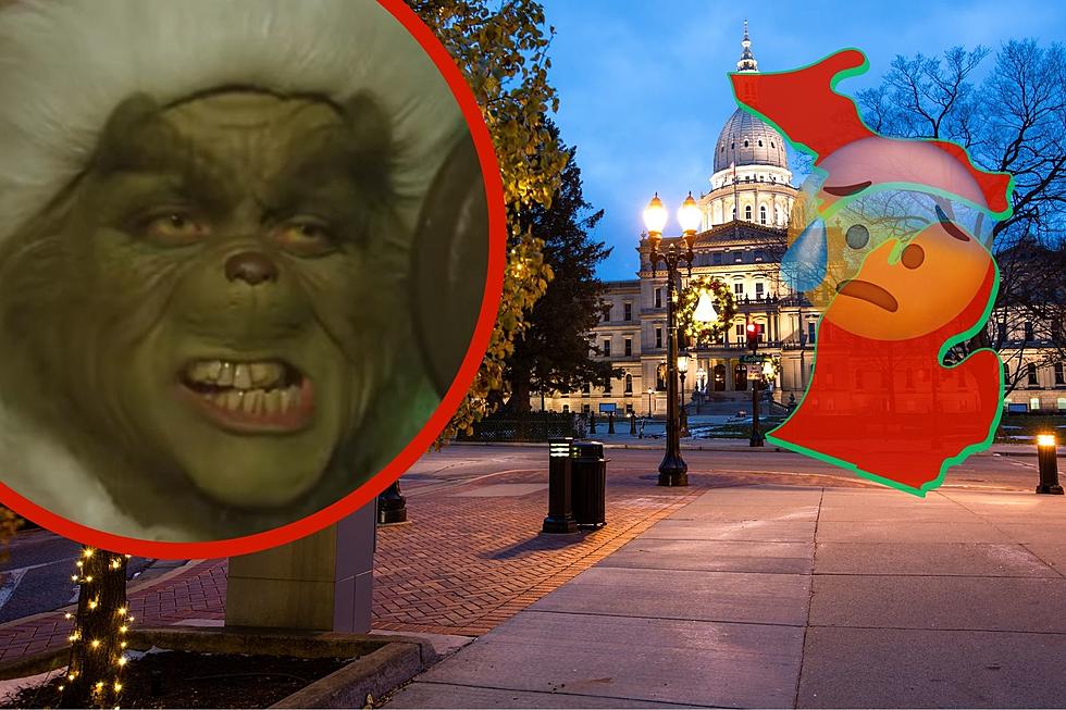 Michigan Makes the Grinchy List for Christmas Spirit