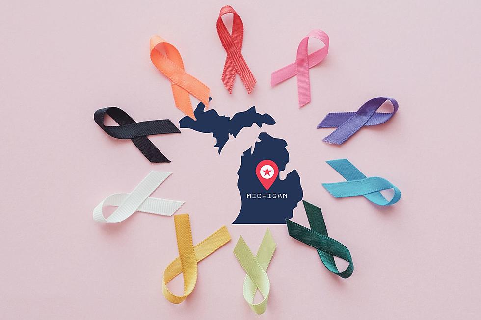 LOOK: These Michigan Counties Have the Highest Cancer Rates in the State