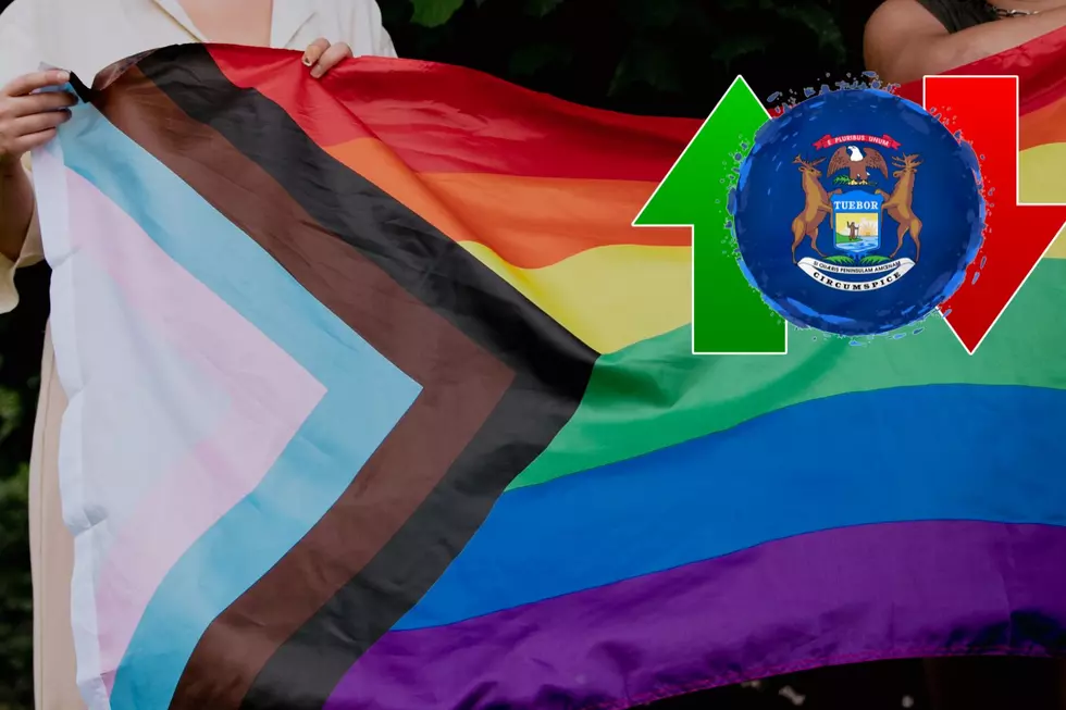 Michigan’s Acceptance of LGBTQ+ Community High, But Falling