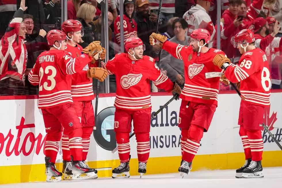 Alex DeBrincat: Red Wings would welcome Dylan Larkin back