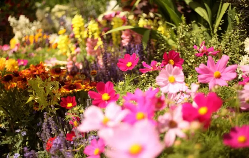 National Public Garden Day