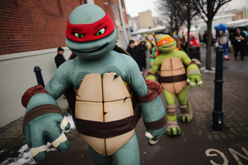 The History Of The Teenage Mutant Ninja Turtles [VIDEO]