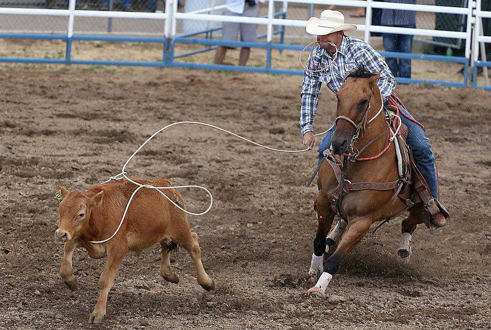 Who&#8217;s Ready for the Caldwell Night Rodeo?