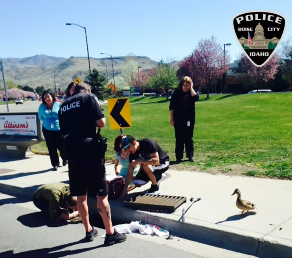 Boise PD Saves Ducklings