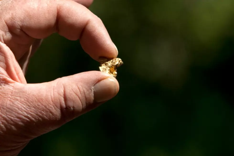 U.S. Okays Canadian Company’s Massive Idaho Gold Mining Plan