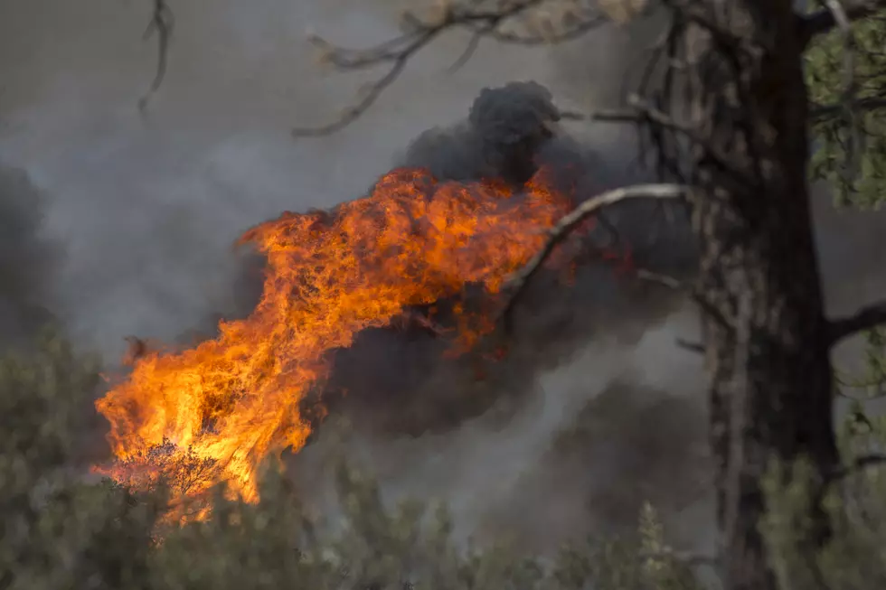 Pioneer Fire Grows by 29,000 Acres