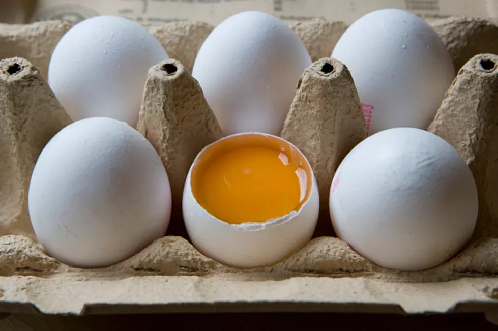 Man Pleads Guilty To Egging House More Than 100 Times