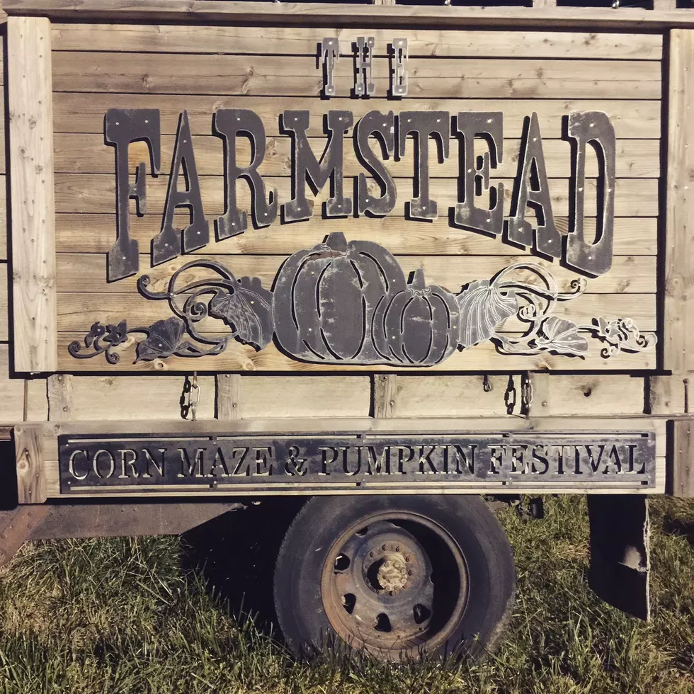 2019 Farmstead Corn Maze and Pumpkin Festival Details