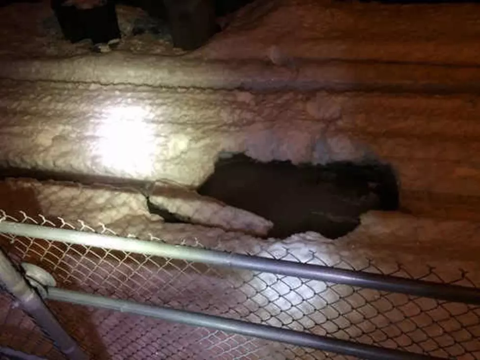 Nampa Officers Fall in Sinkhole!