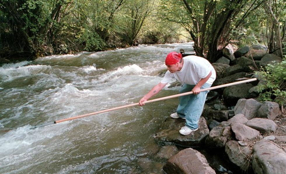 Mystery Fish in Idaho Waters