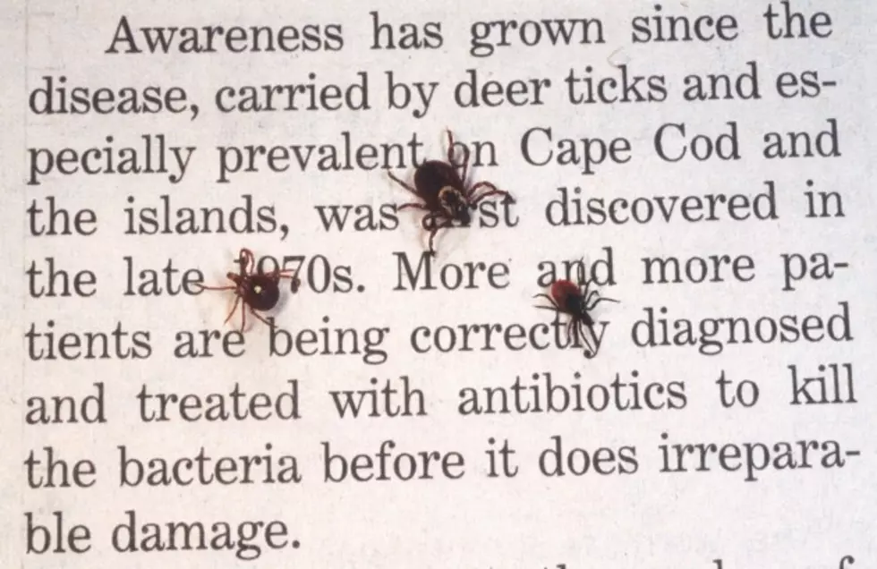 Millions of Ticks and Mosquitoes in Boise