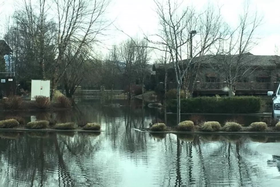 Boise River Flooding in Eagle