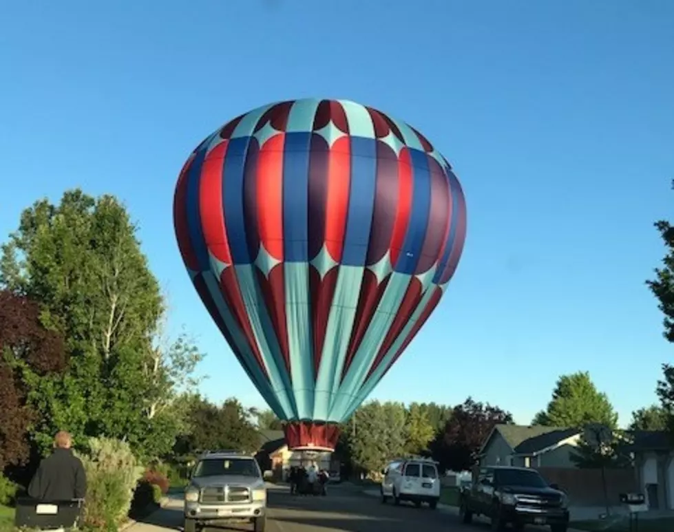 [PHOTOS] Hot Air Balloon Lands in Zizly’s Neighborhood