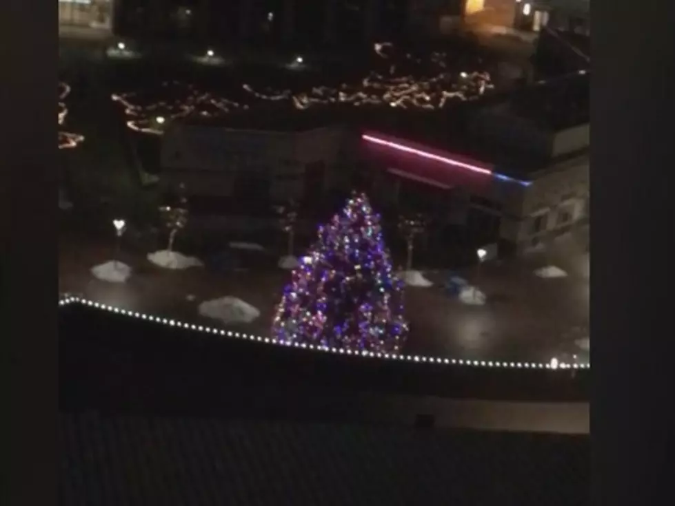 Who Stole The Star Off The Christmas Tree At The Grove?