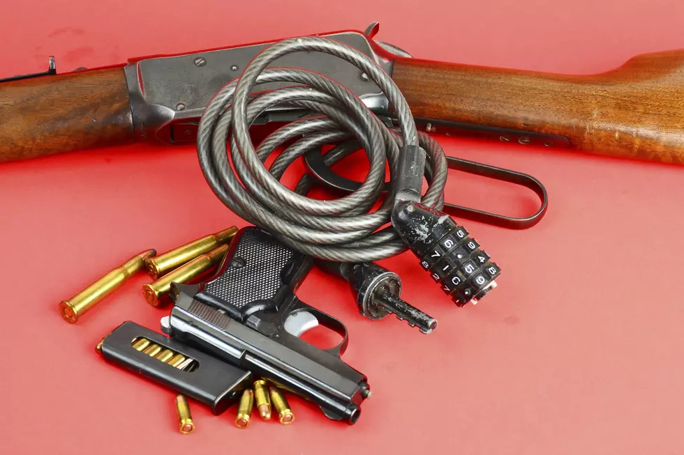 Oregon's New Common Sense Gun Control Law