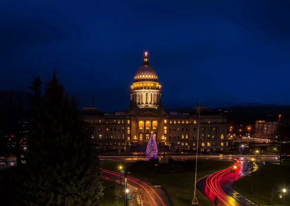 Idaho’s Capitol Christmas Tree is Gorgeous!