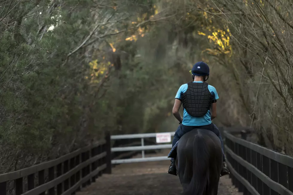 Therapeutic Horseback Riding Program Brings Joy to Idaho Kids