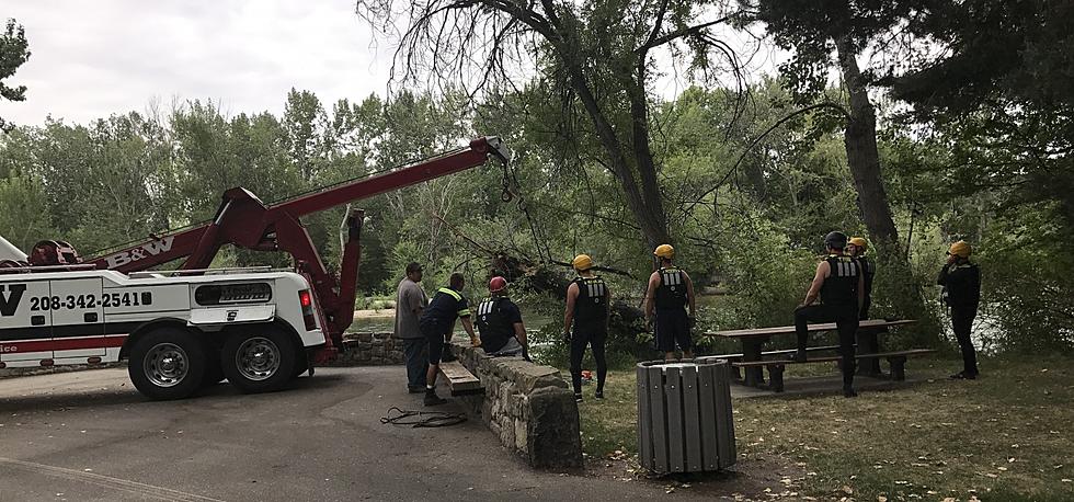 Trees Being Cut Down in Boise’s Historic East End