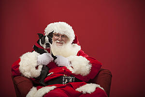 Petsmart Is Giving Away Free Photos With Santa This Weekend