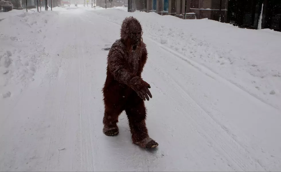 Bigfoot Spotted And Shot At Several Times