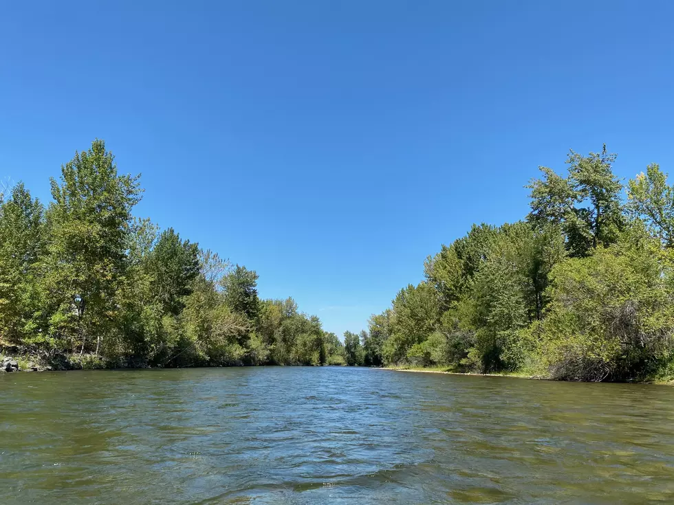 The Dog Days of the Boise River