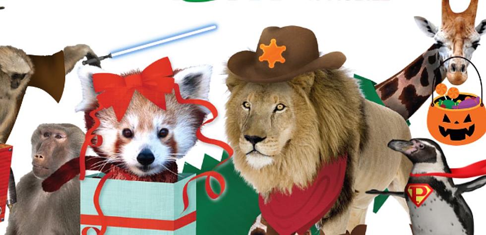 Don’t Miss Zoo Boise’s HOWLiday PAWlooza