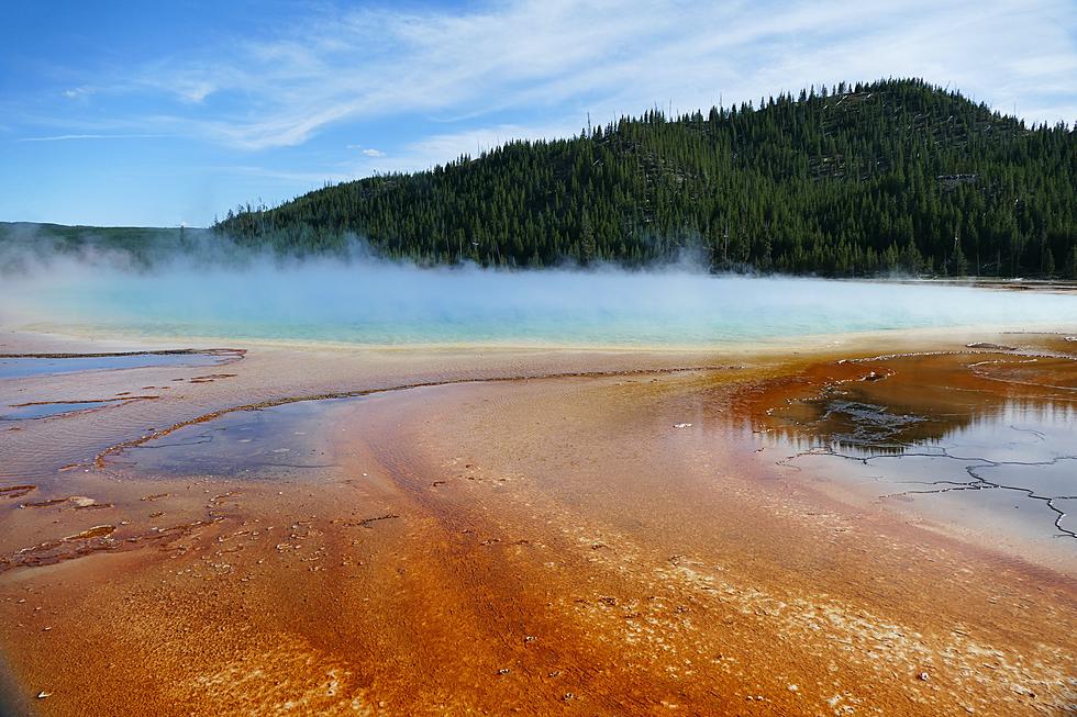 Woman Fined and Got Jail Time in Yellowstone