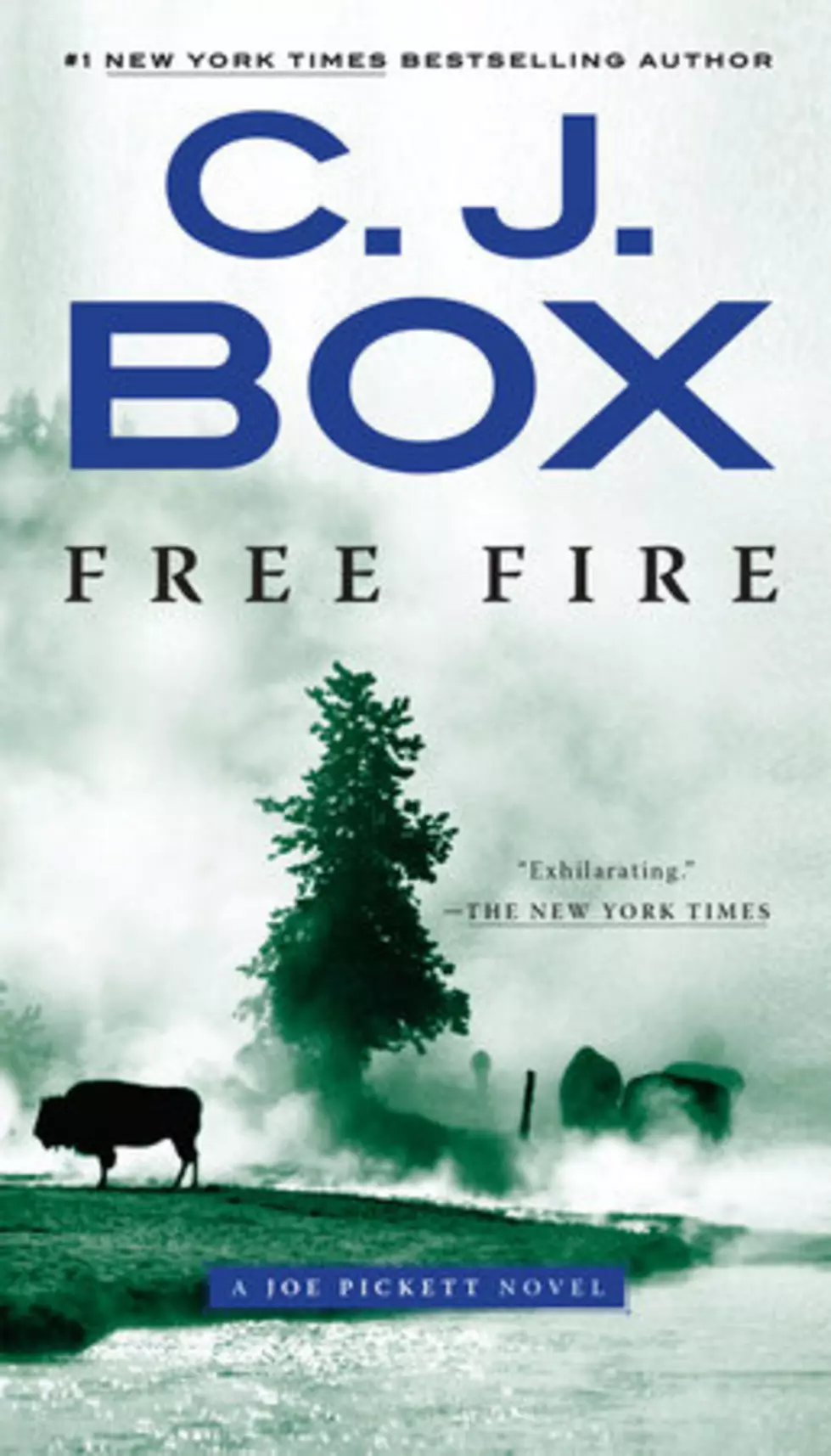 Free Fire Novel By CJ Fox
