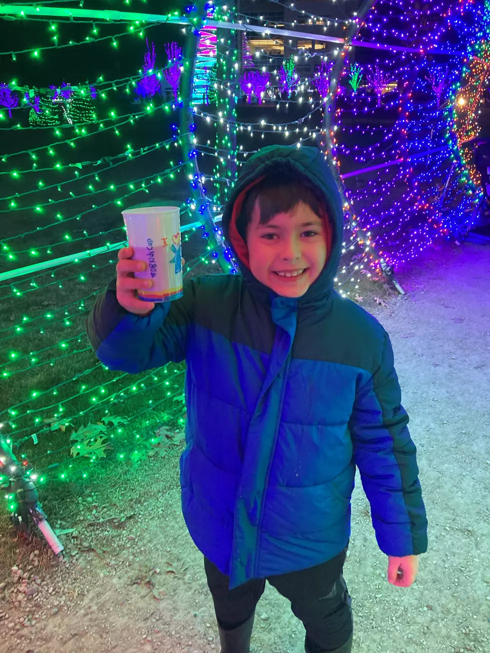 Scentsy Lights Tunnel, Photo by Nikki West