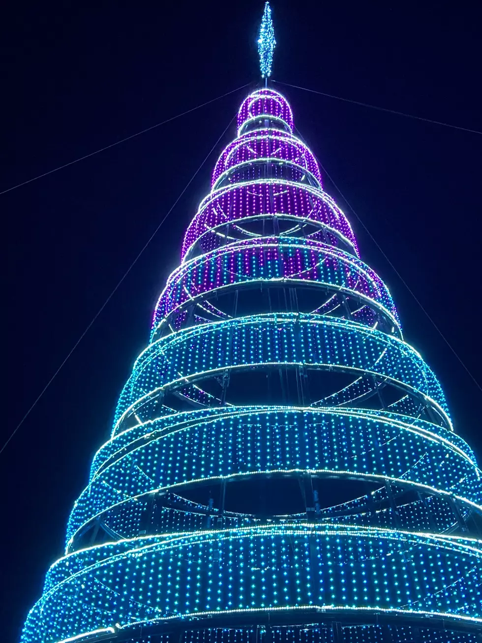 Scentsy Lights Tree, Photo by Nikki West