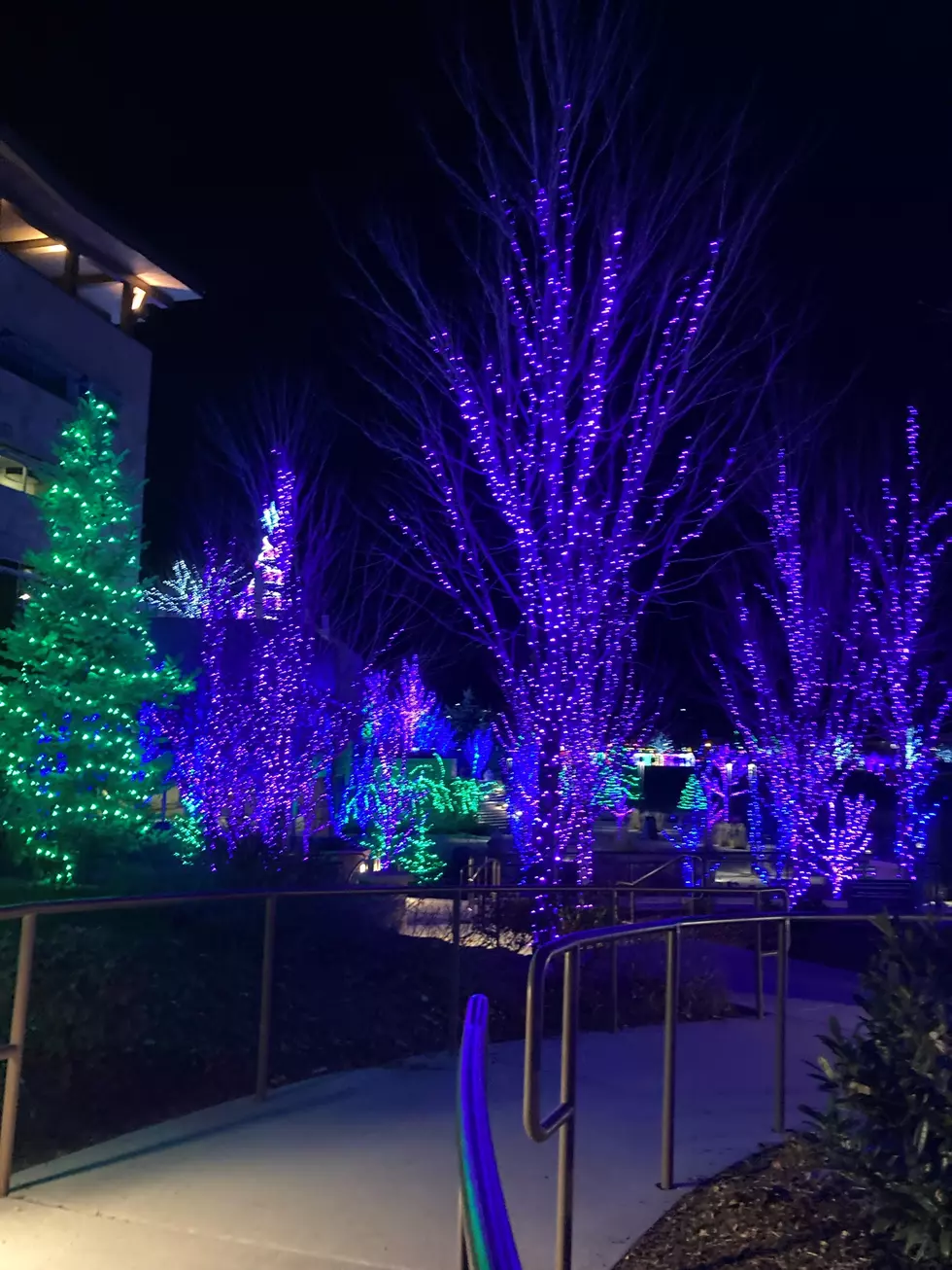 Scentsy Lights, Photo by Nikki West
