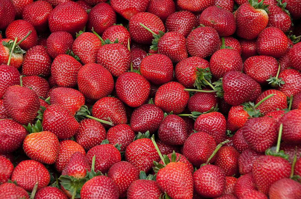 Boise’s J.R. Simplot Creating Genetically Modified Strawberries in New Joint Venture