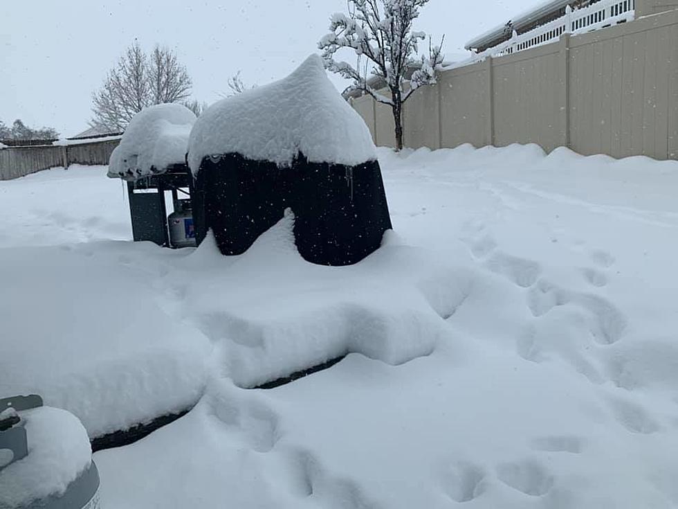 Winter Is Far From Over Boise &#038; Meridian &#8211; Remember Last February&#8217;s Snow?!