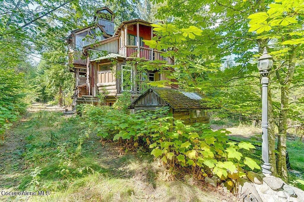 Unique 4 Story Idaho Treehouse Custom Built By Artist For Sale
