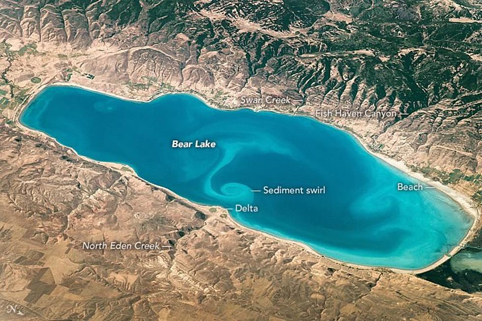 Eye Witness Stories of the Bear Lake Monster on the Idaho, Utah Boarder Will Keep You From Swimming