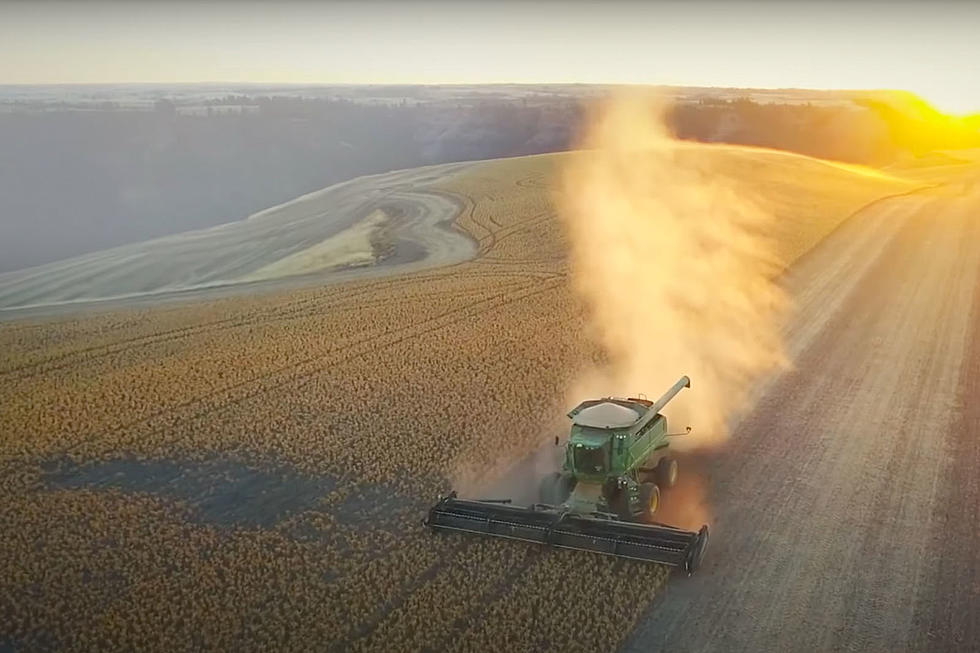 Thank an Idaho Farmer, These Idaho Agriculture Facts Will Blow You Away