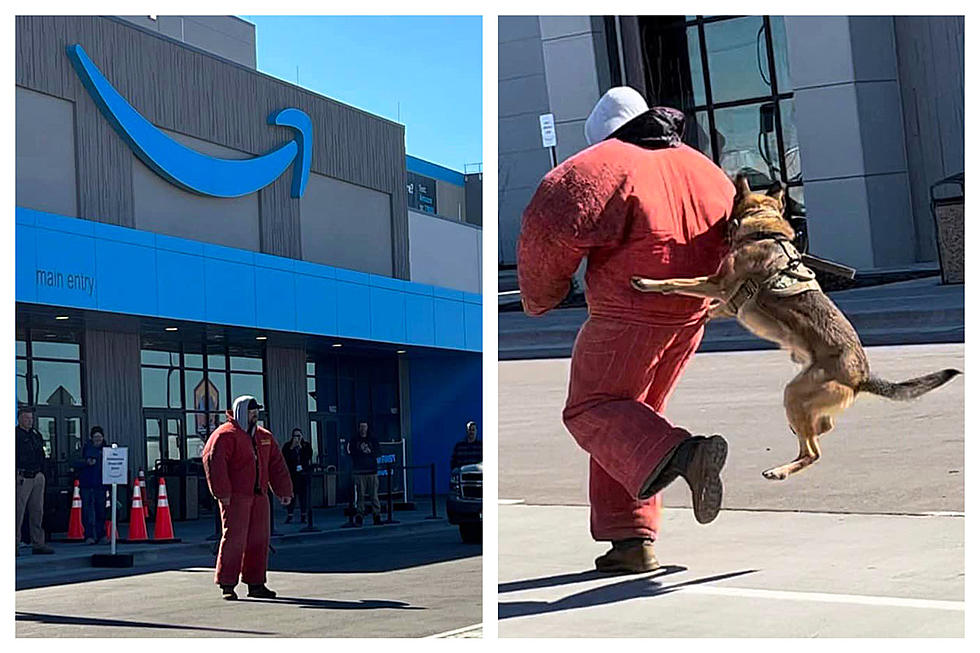 Amazon Highlights Nampa Police Department & K-9 Units at First Responder Celebration