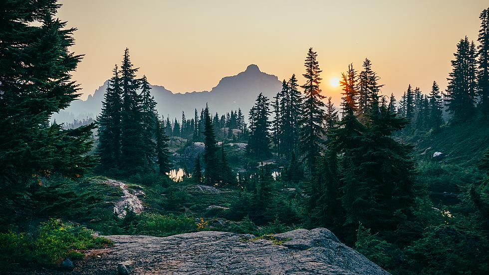 All 9 National Forests in Idaho, Fun Facts, and Stunning Photos