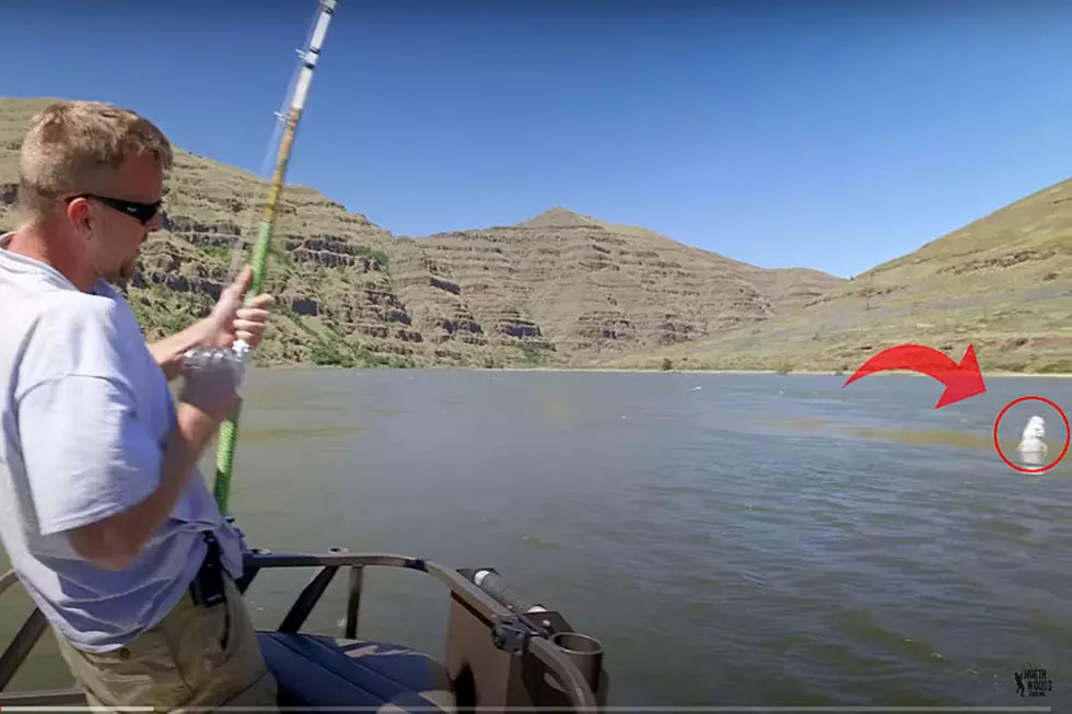 Fishing in Idaho? You need to know about this fish release!