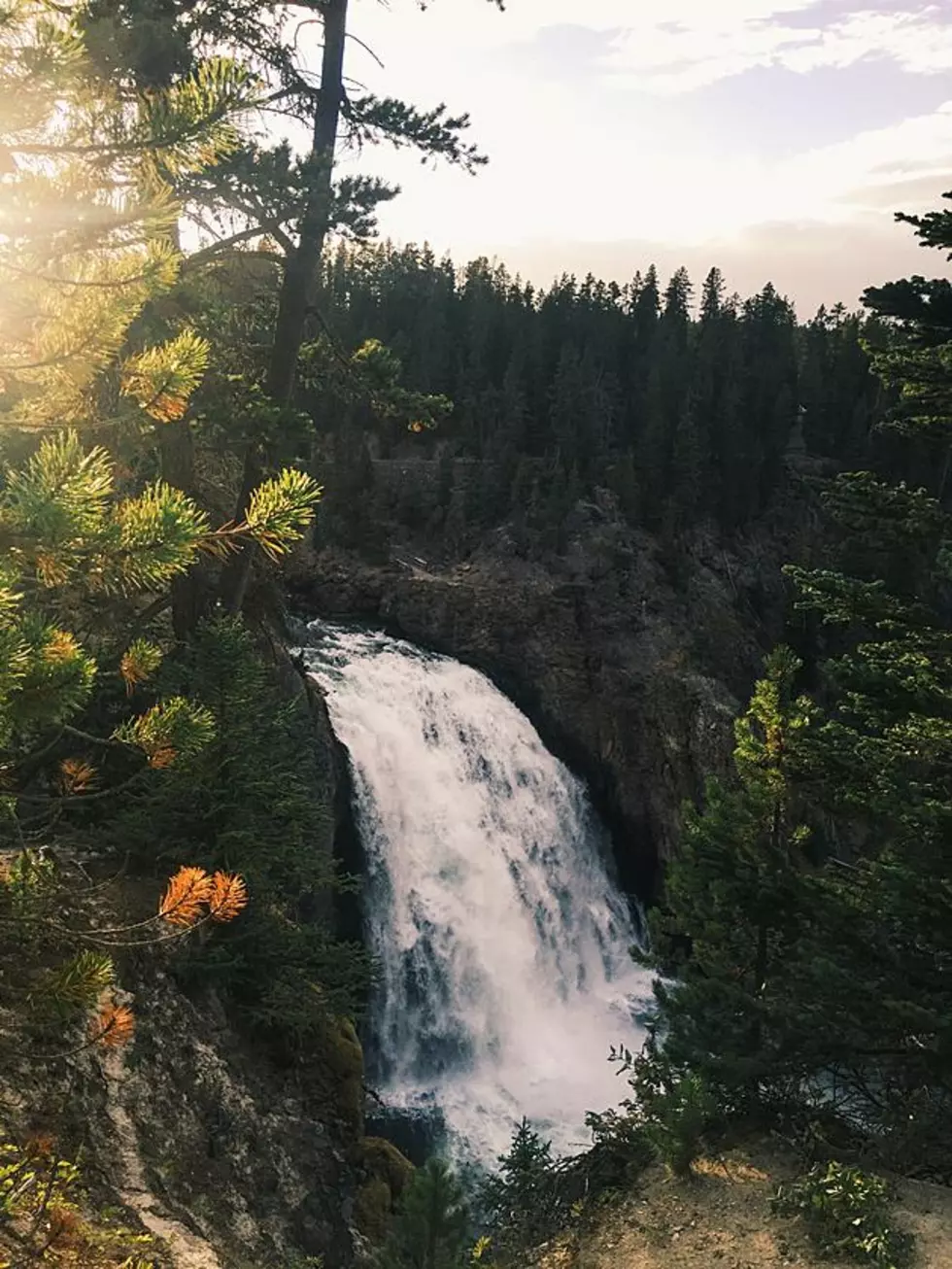 Photo by Kelly Repreza on Unsplash