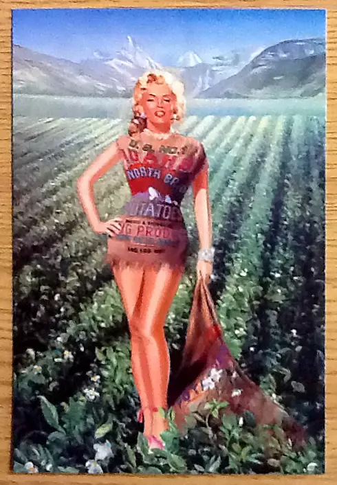 Bold Story Marilyn Monroe's Iconic Idaho Potato Sack Dress