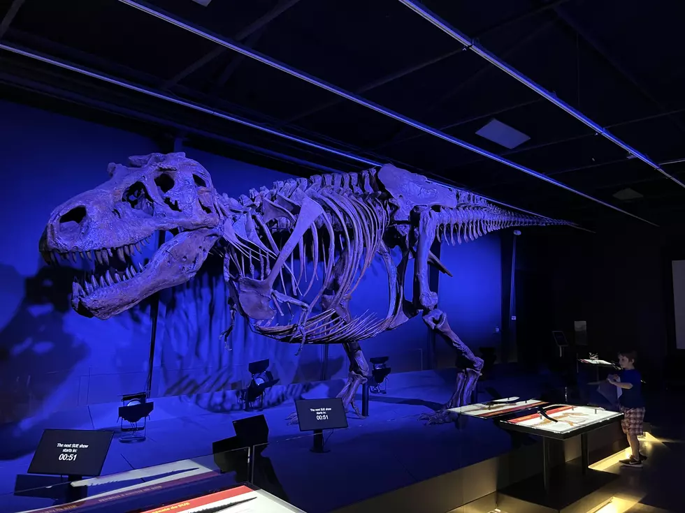 See T-Rex SUE at Discovery Museum of Idaho Before it’s Gone, SLIME is NEXT