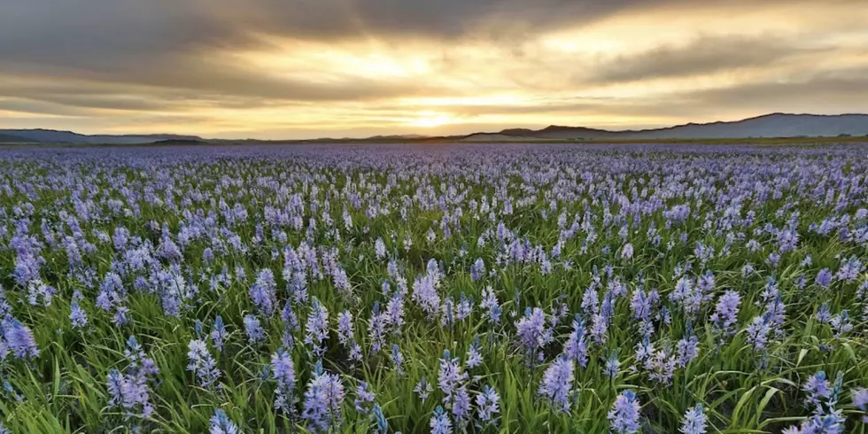 Idaho&#8217;s Most Beautiful Spot is One of the Most Stunning Places in America