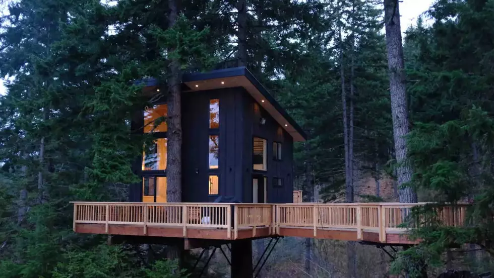 Amazing Treehouse Airbnb Just 5 Hours Away From Boise