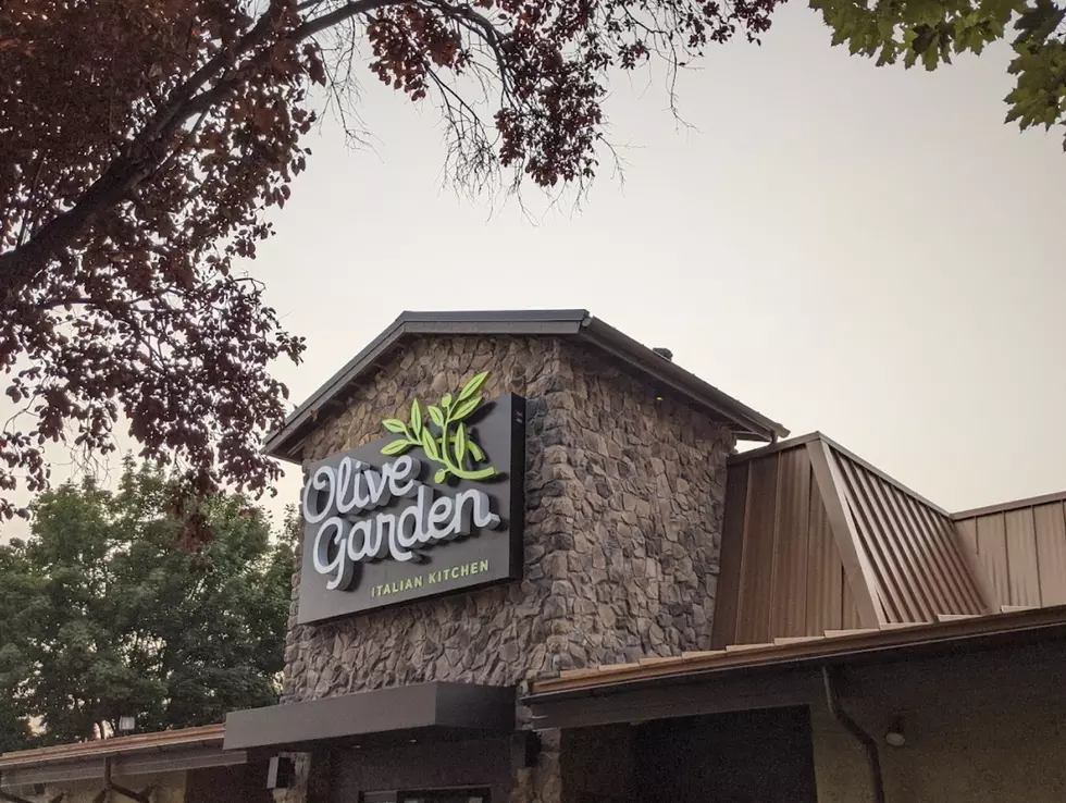 Brynn Allen | Olive Garden