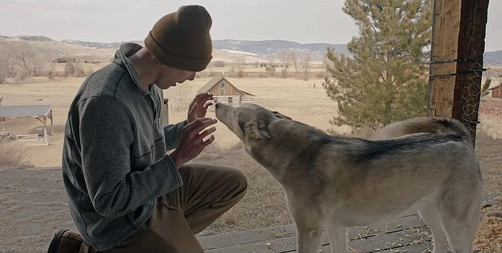 Boise Rescue Dog Lands Lead Role In Film Released Nationwide [Video]